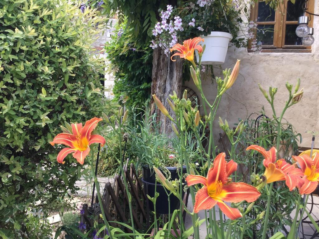Le Clos de Fernande Corcelles-les-Arts Exterior foto
